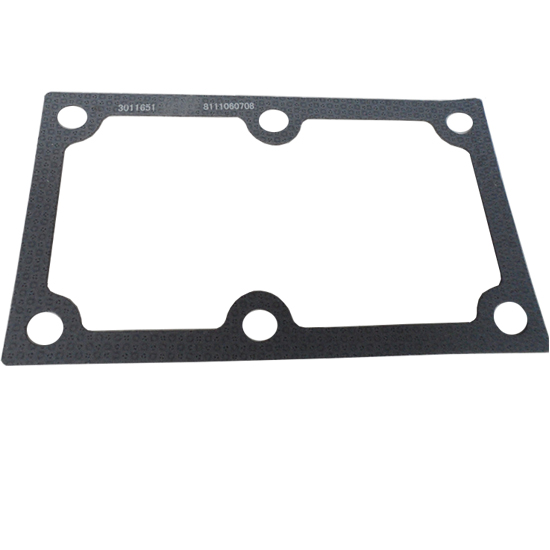 3011651 gasket cover plate