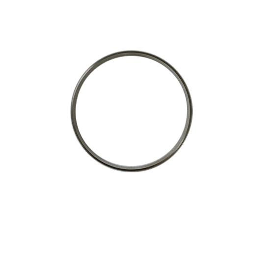 3689871 Anti-Polishing Ring