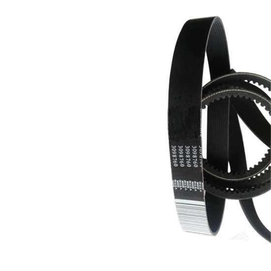 3098760 V Belt