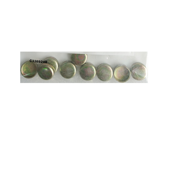 3900956 expansion plug