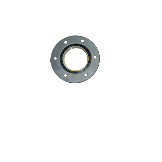 3329698 oil seal