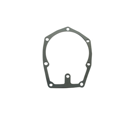 3002385 water pump gasket