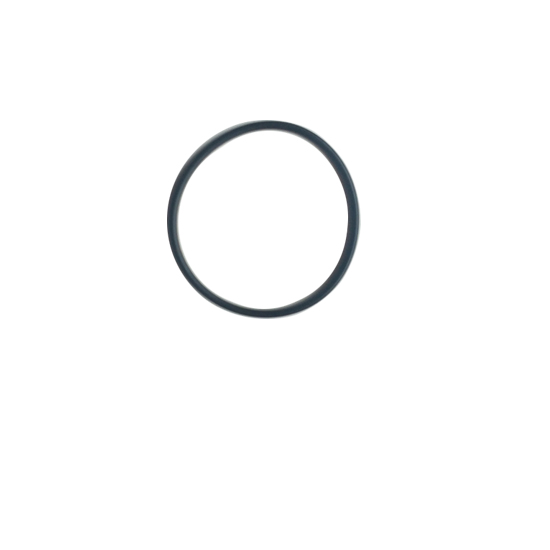 3678724 ring seal