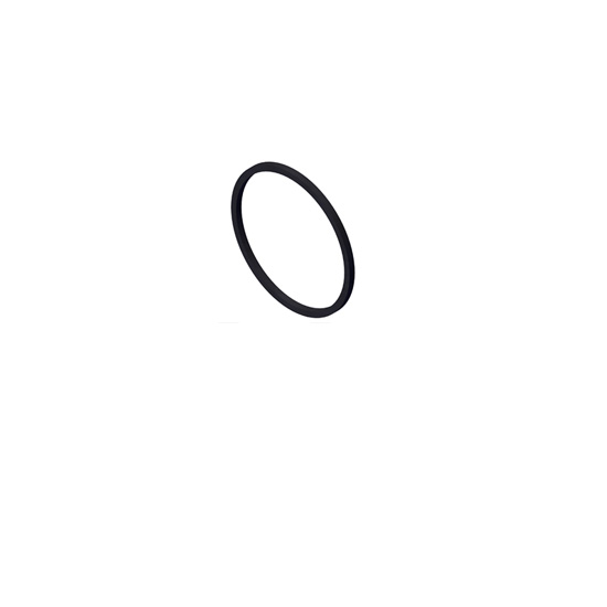 3820946 ring seal