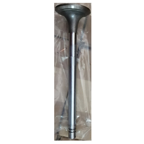 145701 Valve exhaust