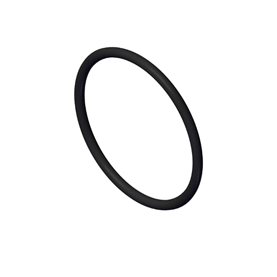 145581 o ring seal