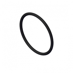 6CT engine o ring seal 145581