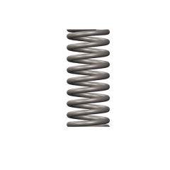 NTA855 engine parts 70821 Compression Spring