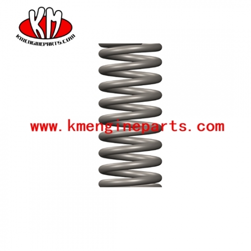 NTA855 engine parts 70821 Compression Spring