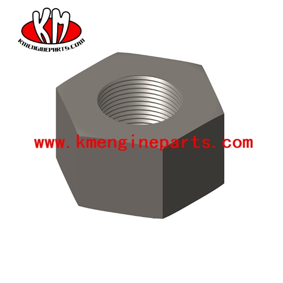 203131 heavy hexagon nut