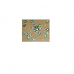 3900955 plug expansion 4BT 6BT engine spare parts